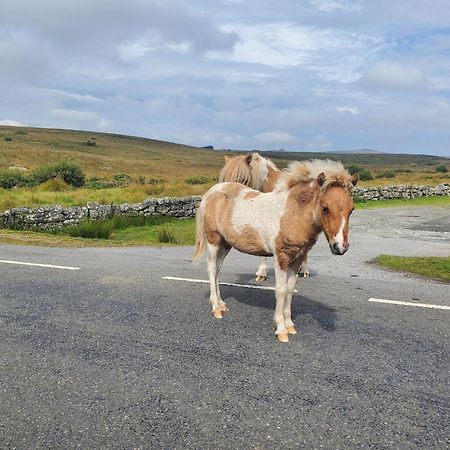 Dartmoor Reach Alpaca Farm Heated Cabins 5 Mins Drive To Dartmoor Bovey Tracey Esterno foto