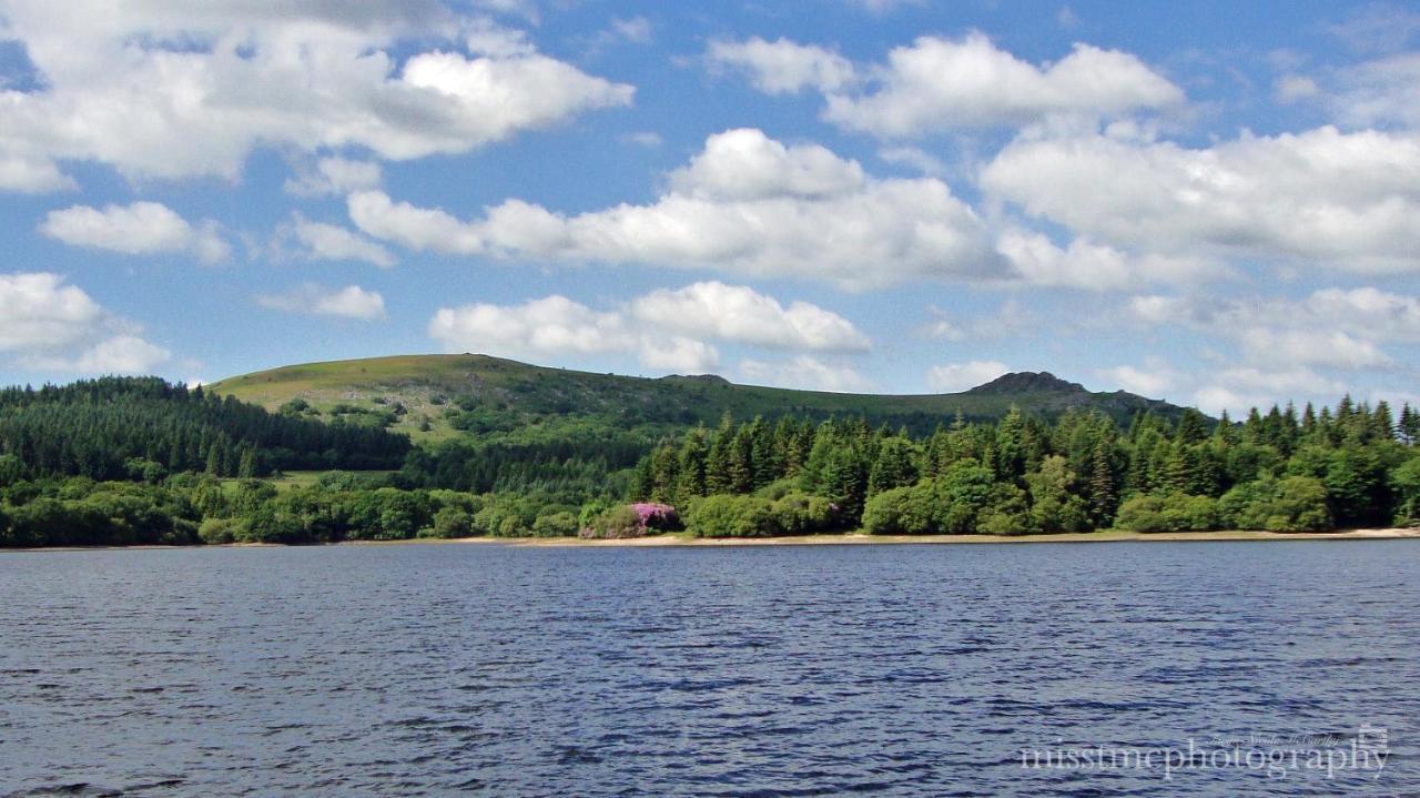 Dartmoor Reach Alpaca Farm Heated Cabins 5 Mins Drive To Dartmoor Bovey Tracey Esterno foto