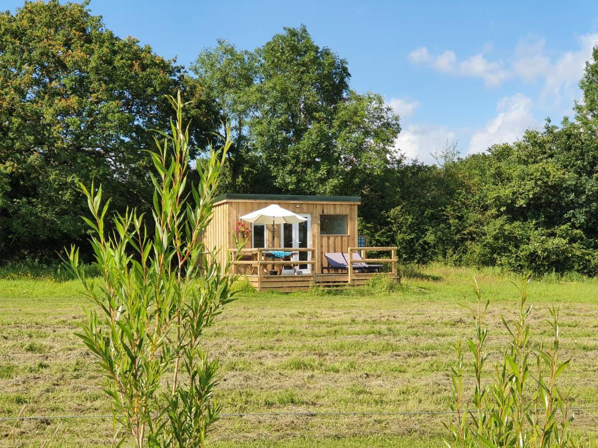 Dartmoor Reach Alpaca Farm Heated Cabins 5 Mins Drive To Dartmoor Bovey Tracey Esterno foto