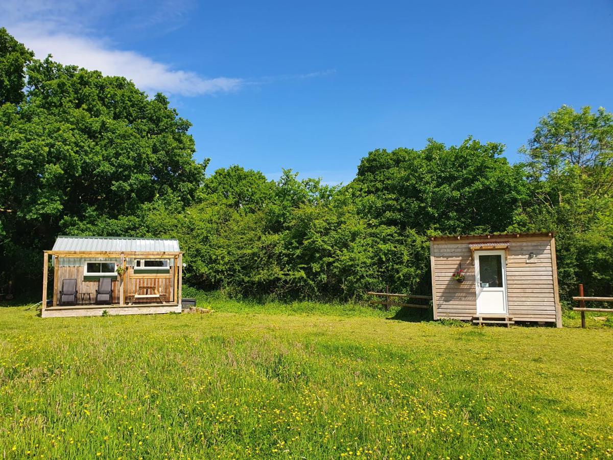 Dartmoor Reach Alpaca Farm Heated Cabins 5 Mins Drive To Dartmoor Bovey Tracey Esterno foto