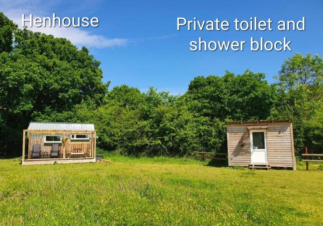 Dartmoor Reach Alpaca Farm Heated Cabins 5 Mins Drive To Dartmoor Bovey Tracey Camera foto