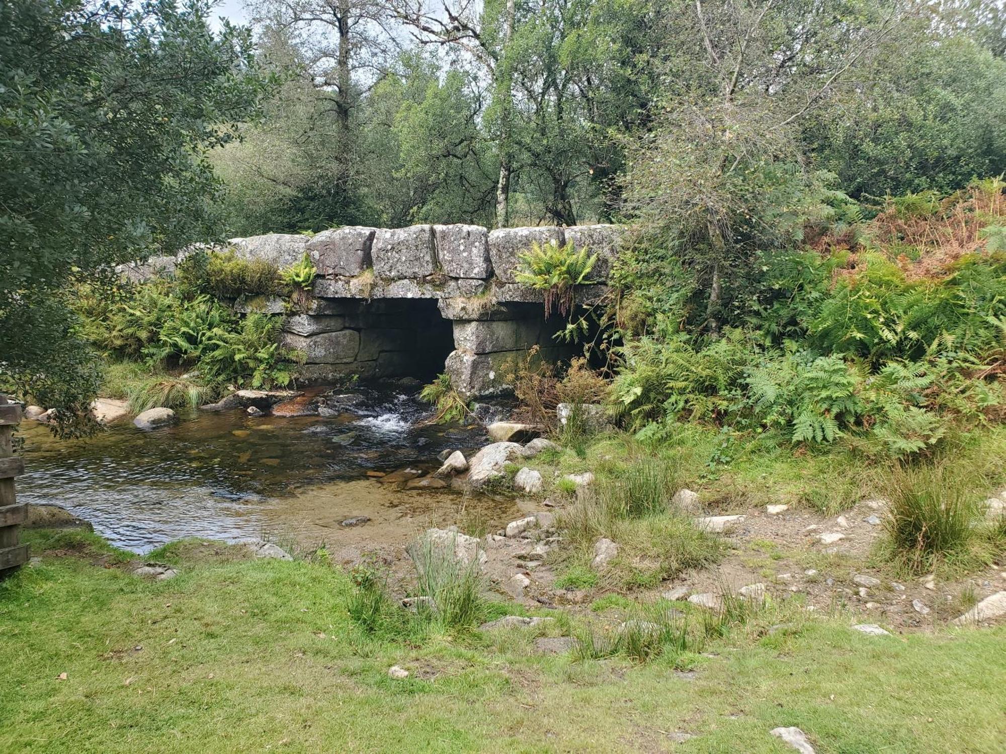 Dartmoor Reach Alpaca Farm Heated Cabins 5 Mins Drive To Dartmoor Bovey Tracey Esterno foto